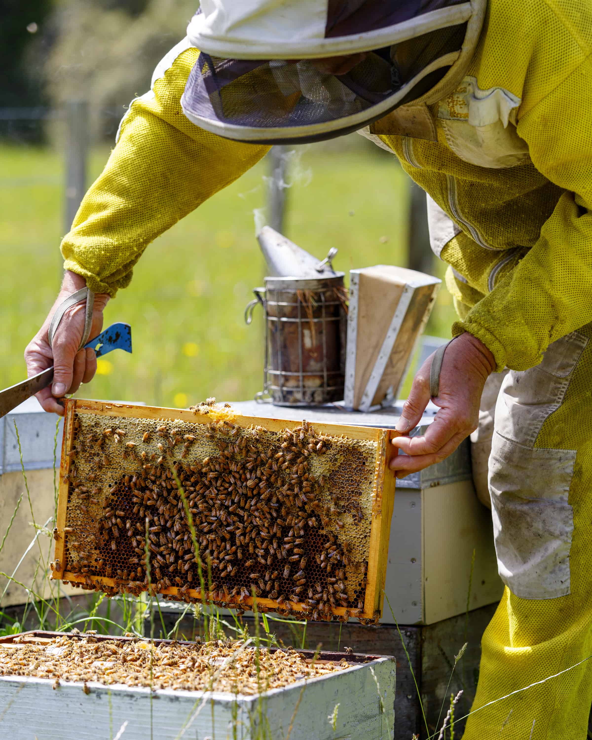 Where does your honey come from?